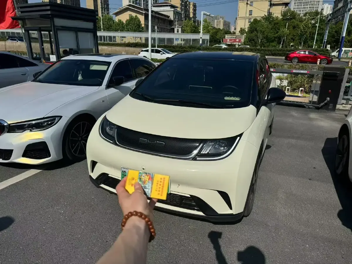 2021 BYD Dolphin BEV 44.9KWH