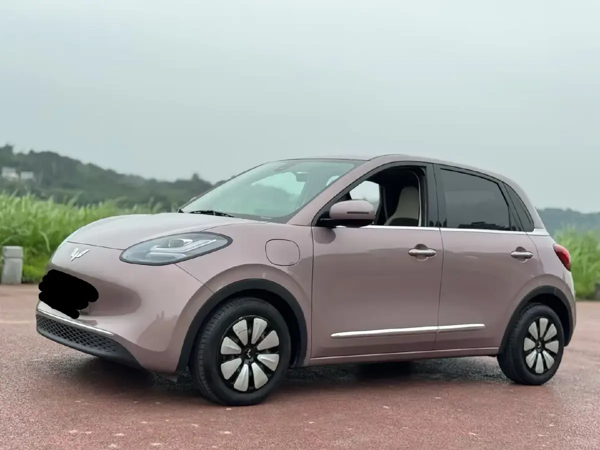 2023 WuLing BinGuo BEV 31.9KWH