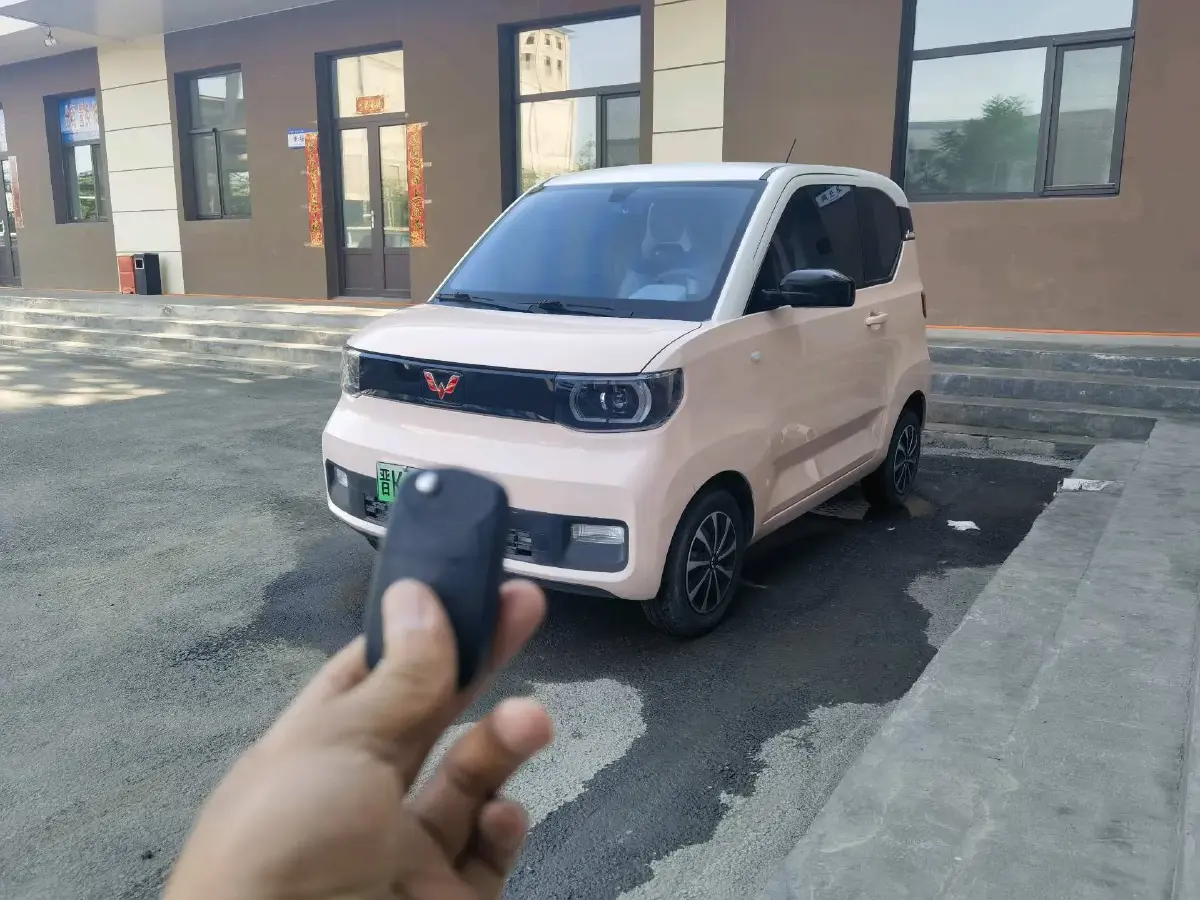 2021 WuLing HongGuang MINI EV BEV 13.9KWH