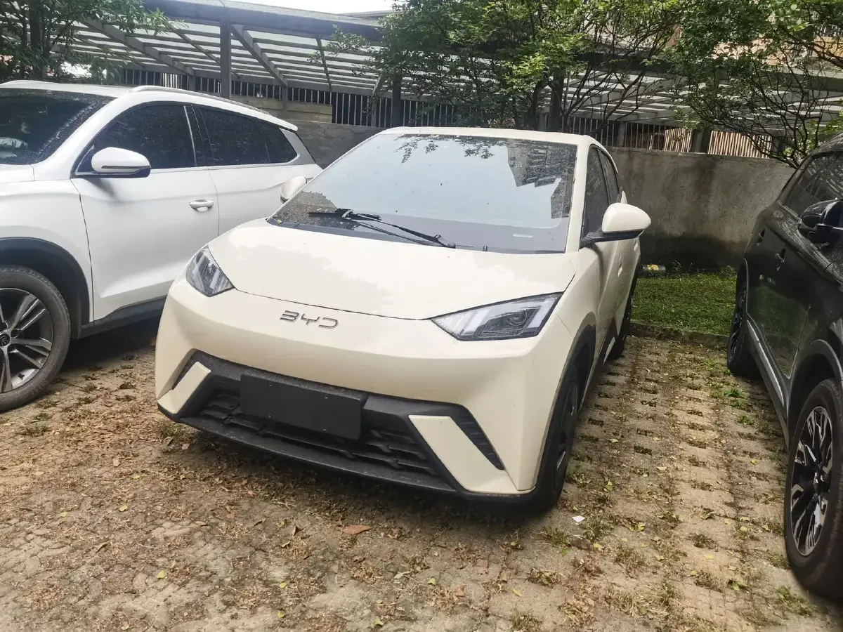 2025 BYD Seagull BEV 30.08KWH