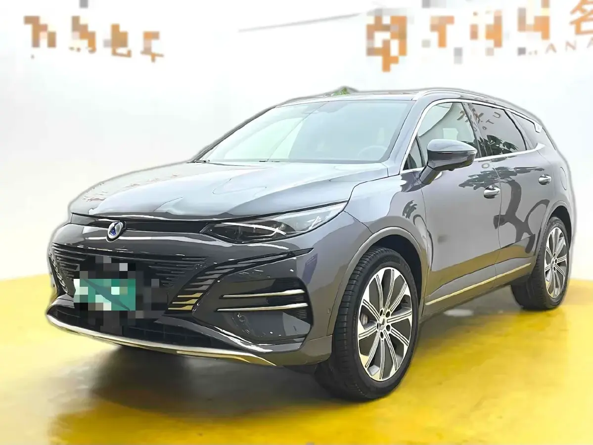 2023 Denza N8 1.5T 139HP L4 E-CVT PHEV 45.8KWH