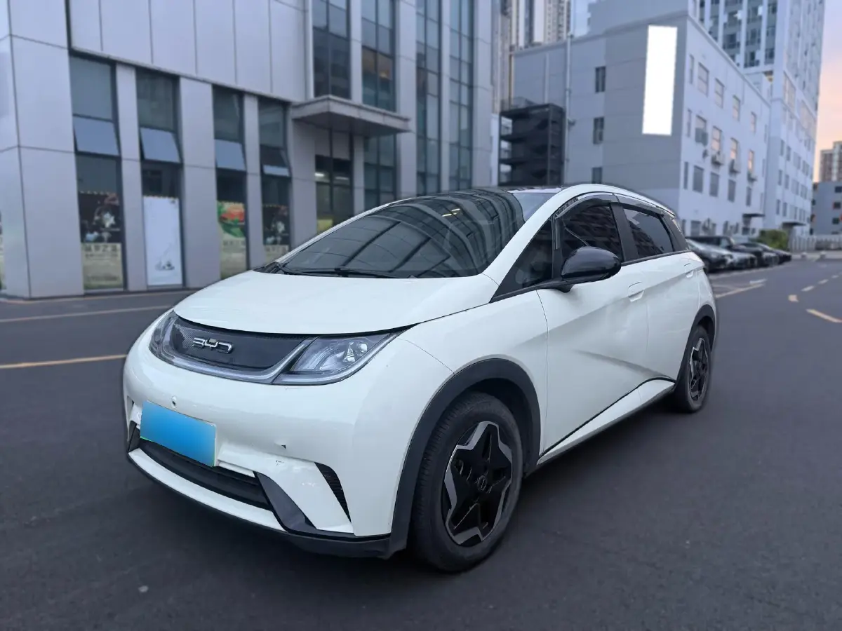 2021 BYD Dolphin BEV 44.9KWH
