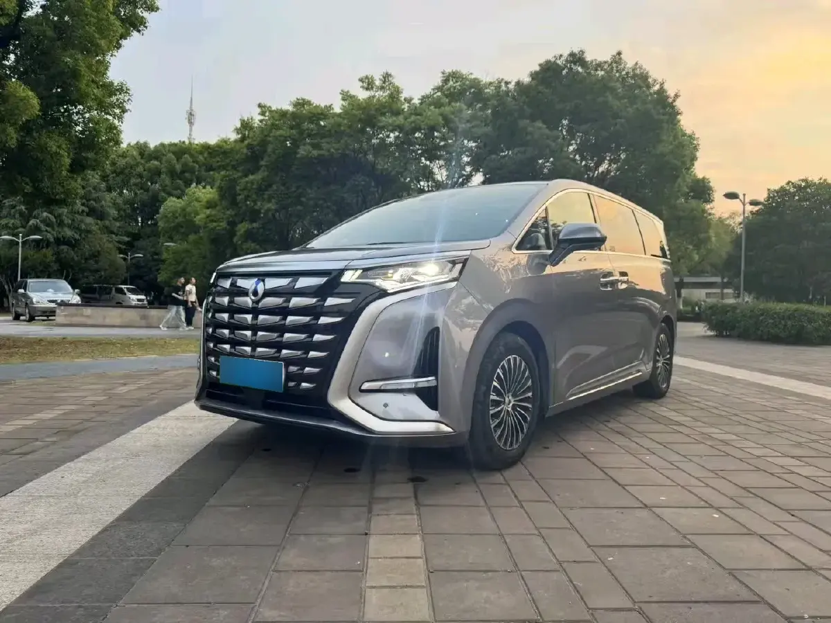 2022 Denza D9 1.5T 139HP L4 E-CVT PHEV 40.06KWH