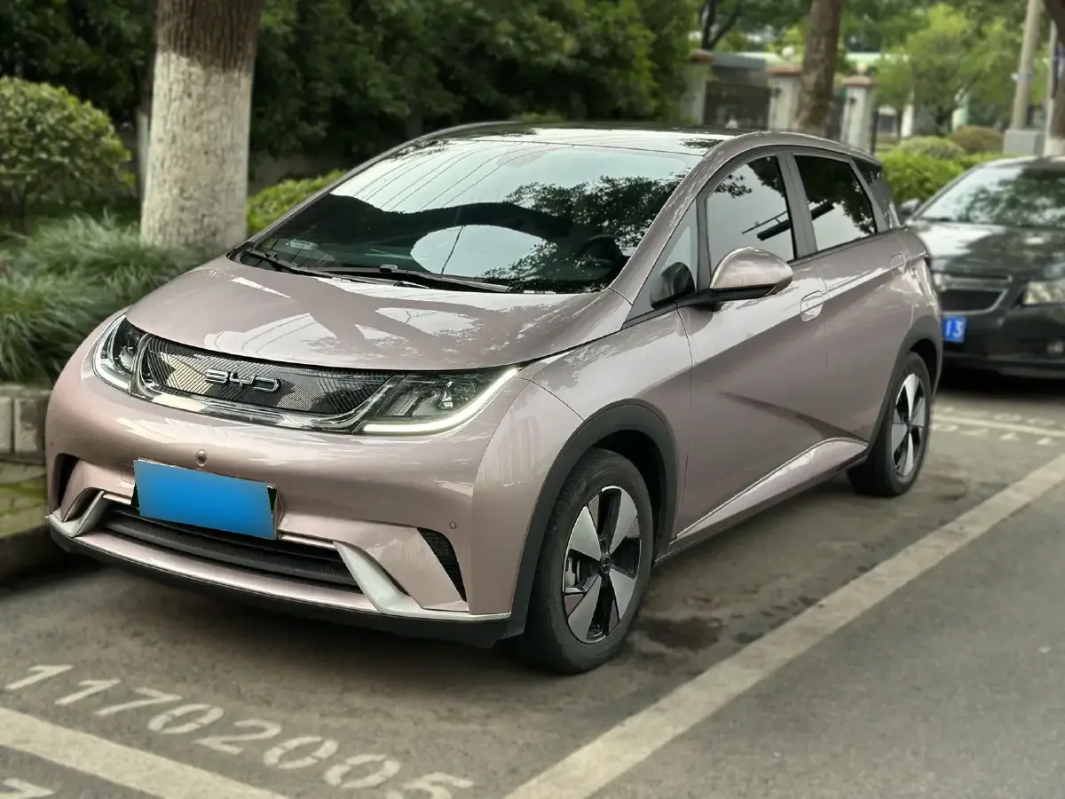 2023 BYD Dolphin BEV 44.928KWH