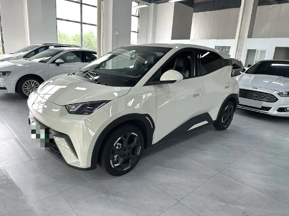 2024 BYD Seagull BEV 38.88KWH