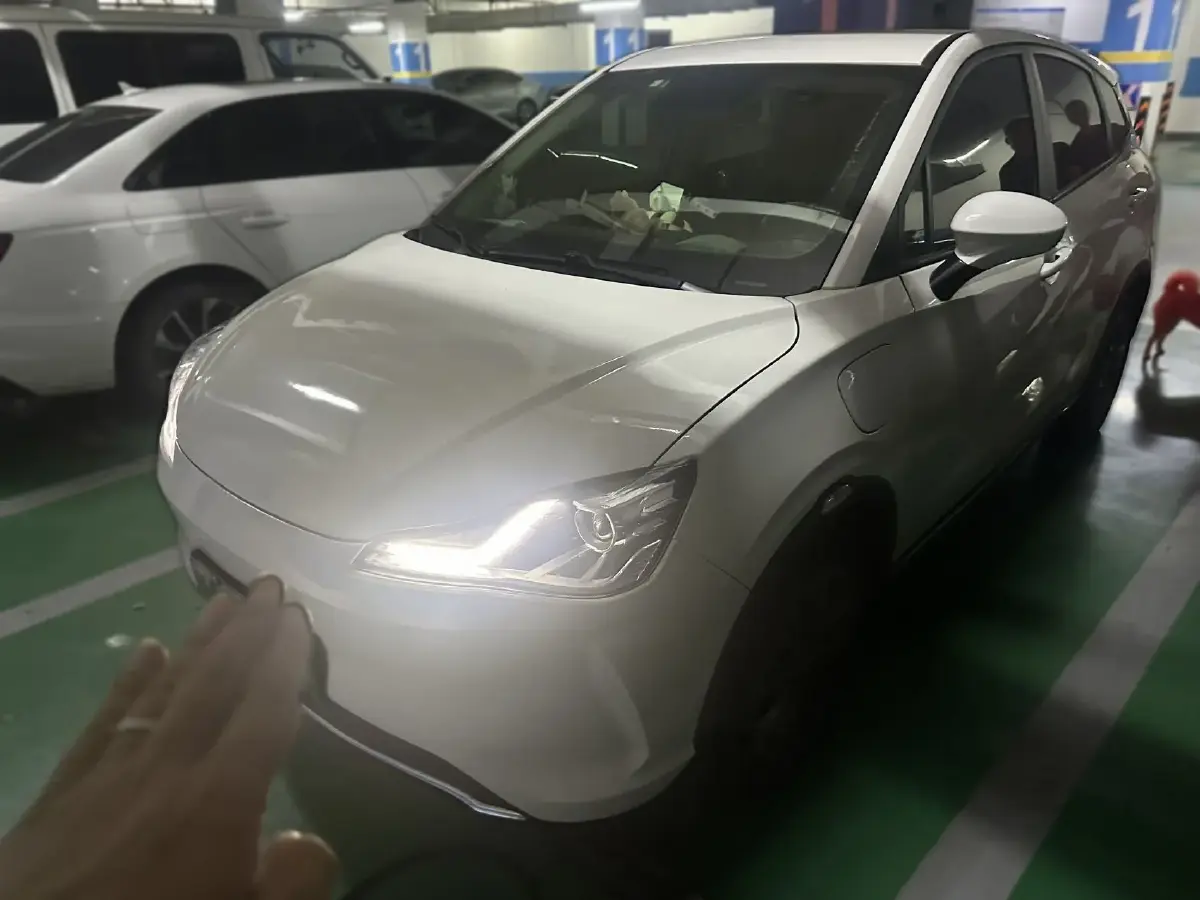 2022 Neta U BEV 55.8KWH