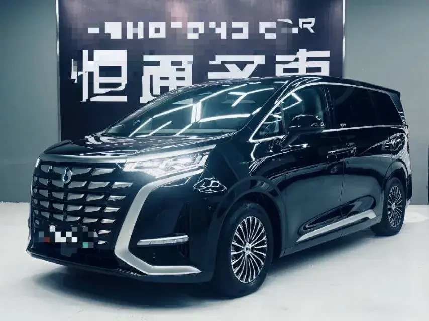 2022 Denza D9 1.5T 139HP L4 E-CVT PHEV 40.06KWH