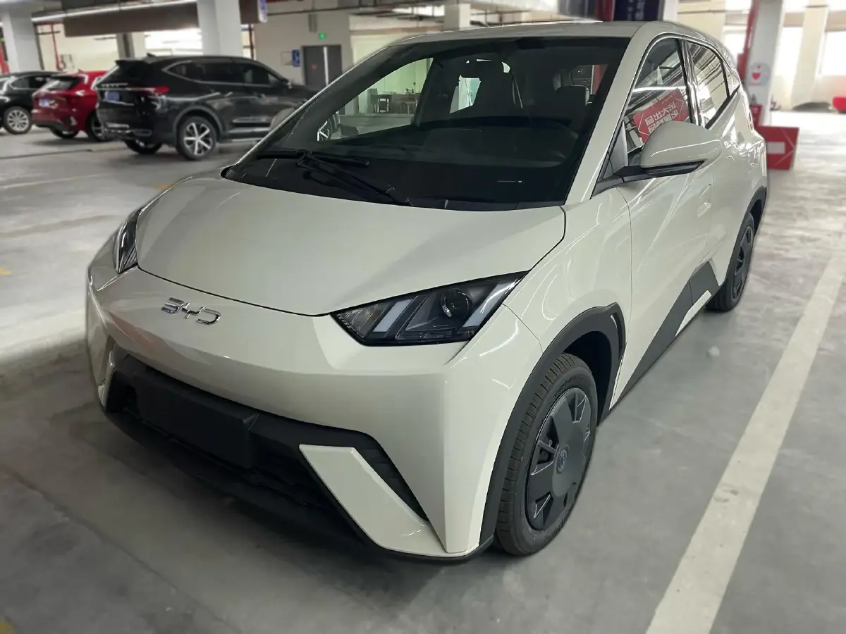 2025 BYD Seagull BEV 30.08KWH