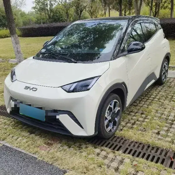 2024 BYD Seagull BEV 30.08KWH