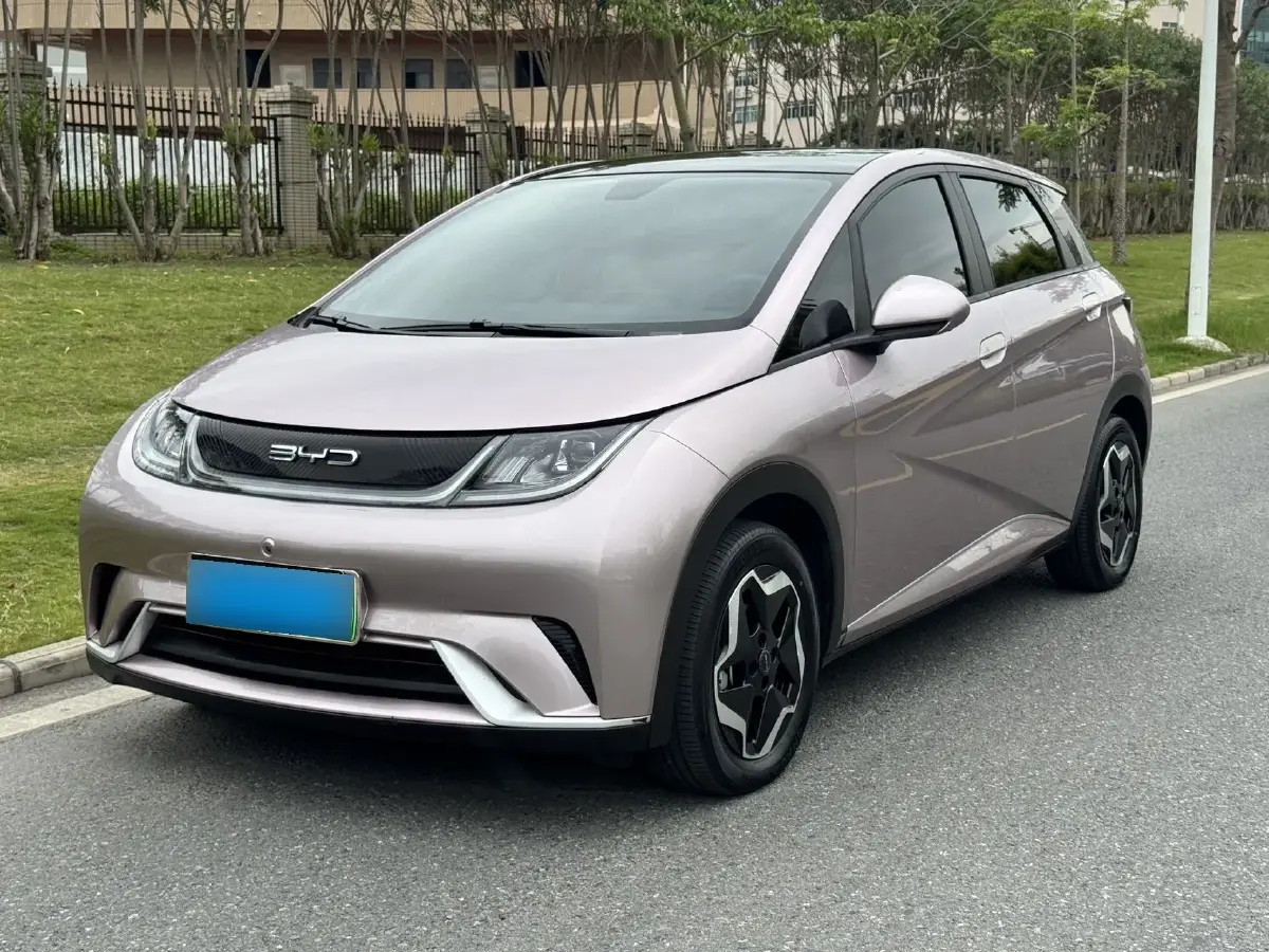 2021 BYD Dolphin BEV 44.9KWH