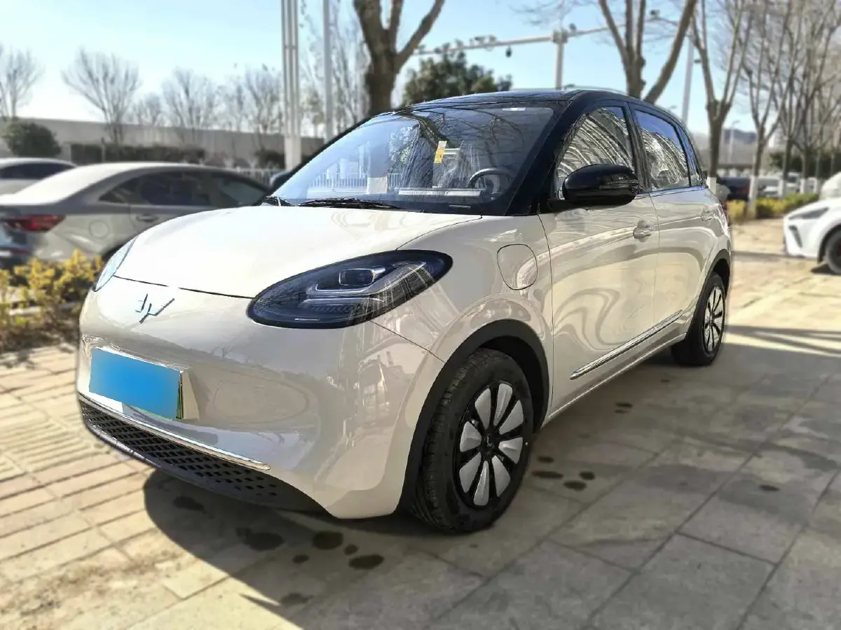 2025 WuLing BinGuo BEV