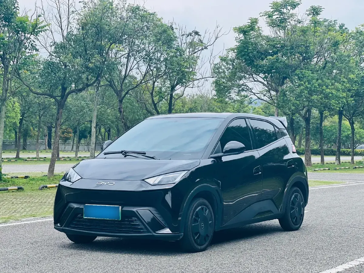 2024 BYD Seagull BEV 30.08KWH