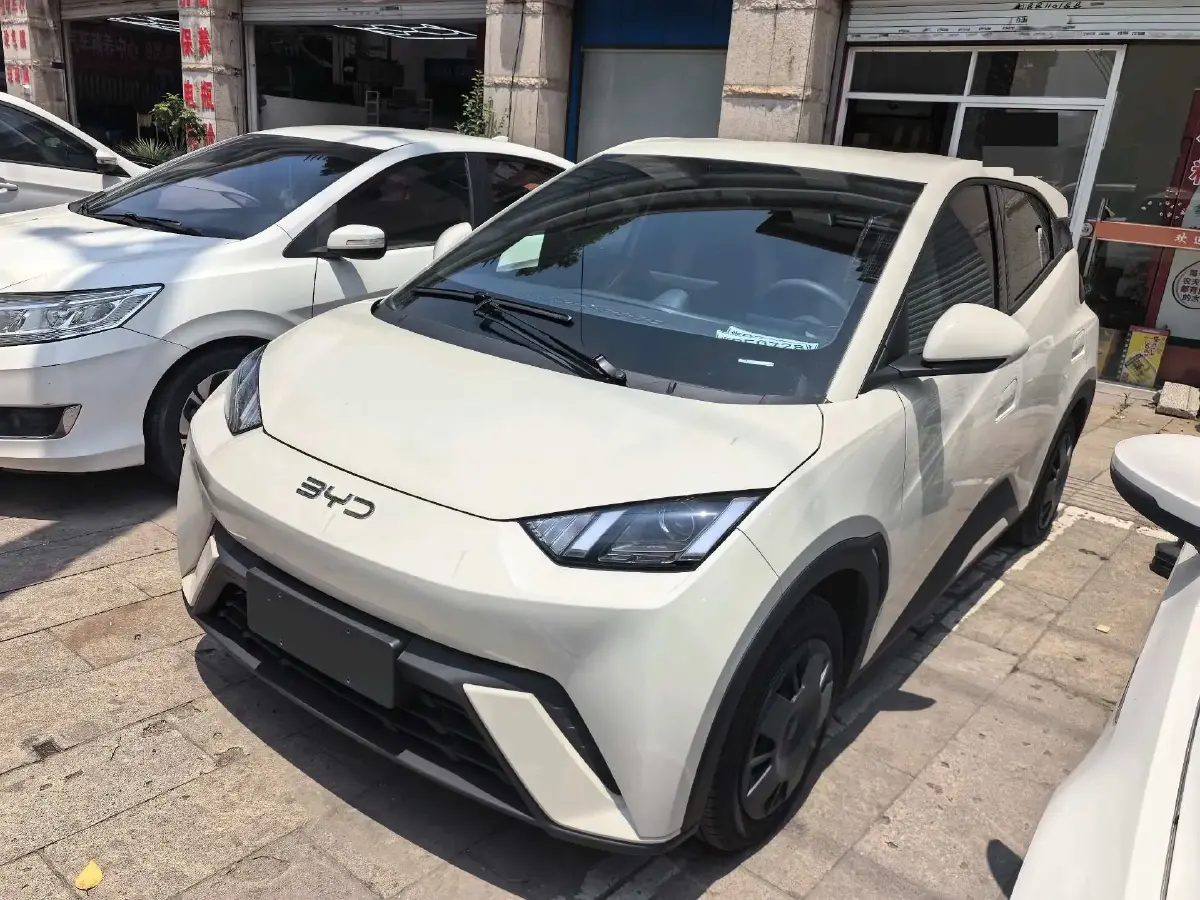 2025 BYD Seagull BEV 30.08KWH