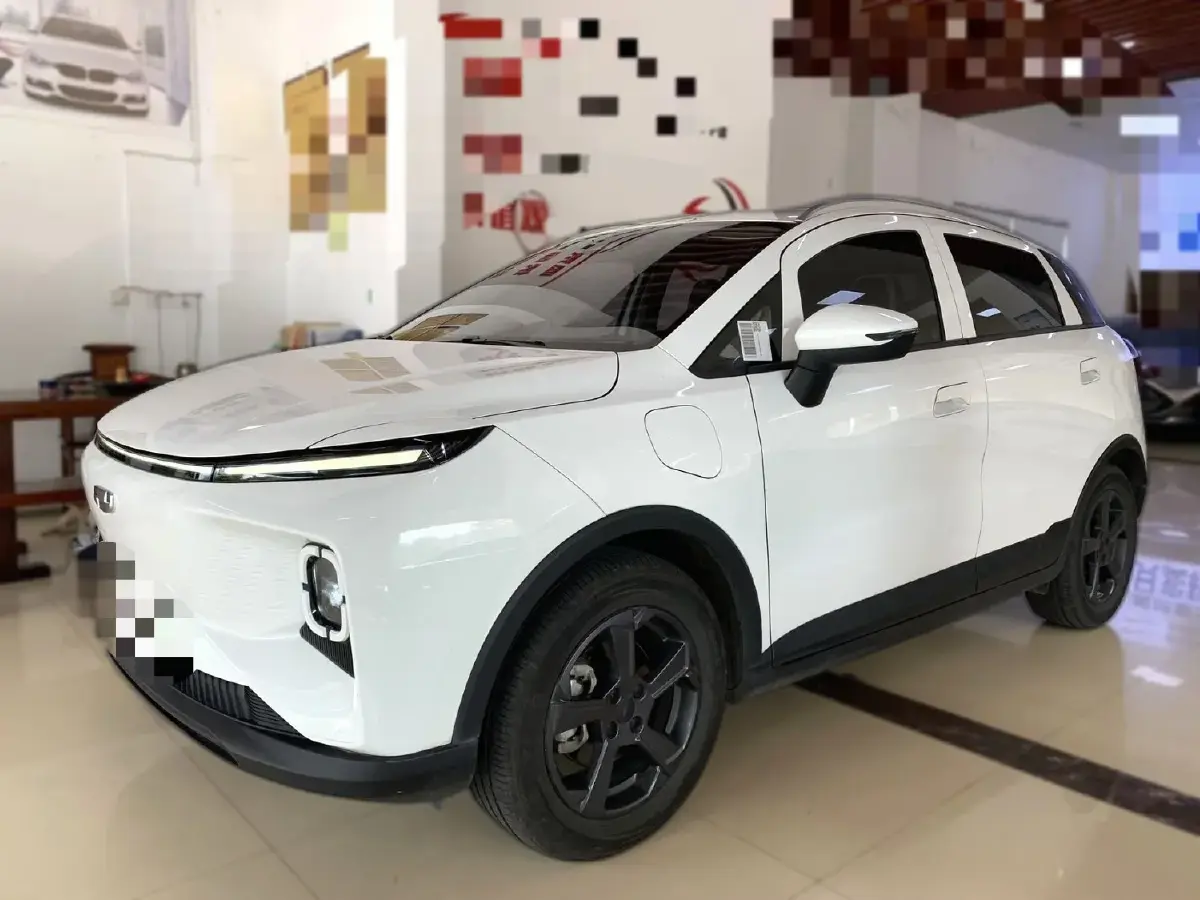 2023 Geometry E BEV 39.4KWH