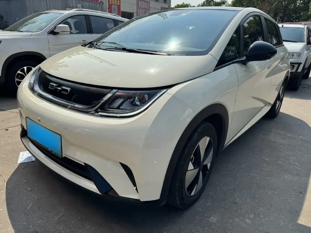 2023 BYD Dolphin BEV 44.928KWH