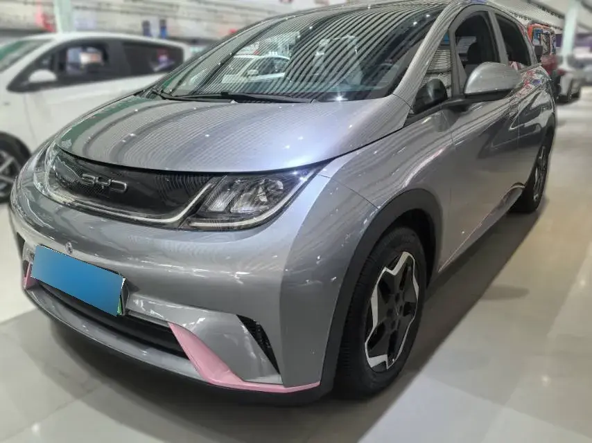 2021 BYD Dolphin BEV 44.9KWH