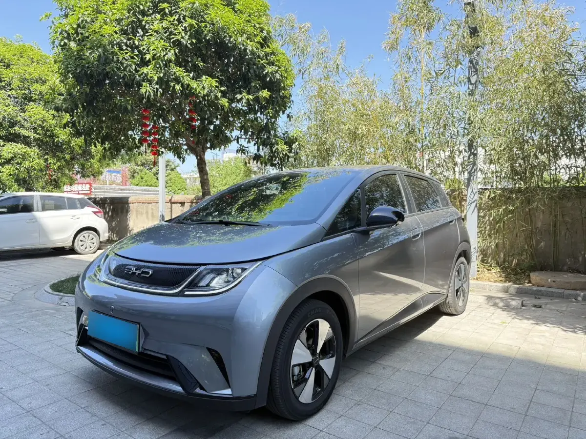 2023 BYD Dolphin BEV 44.928KWH