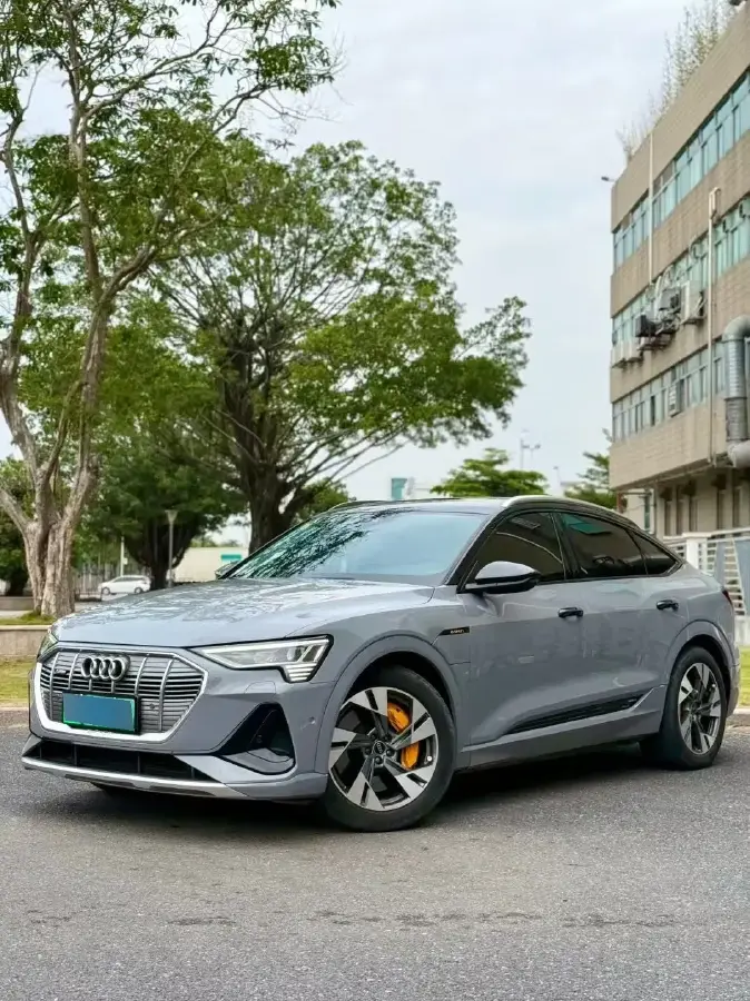 2021 Audi e-tron 2AT BEV 95KWH