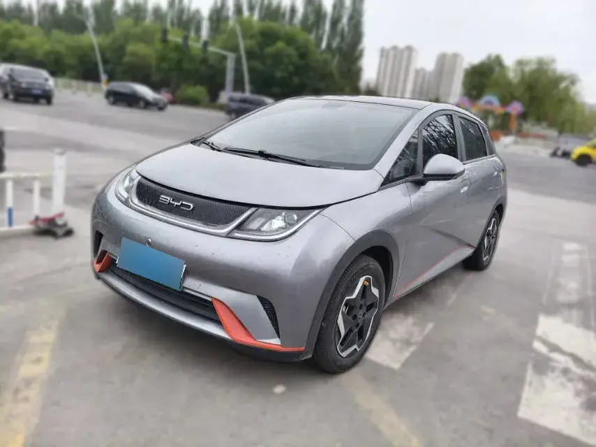 2021 BYD Dolphin BEV 44.9KWH