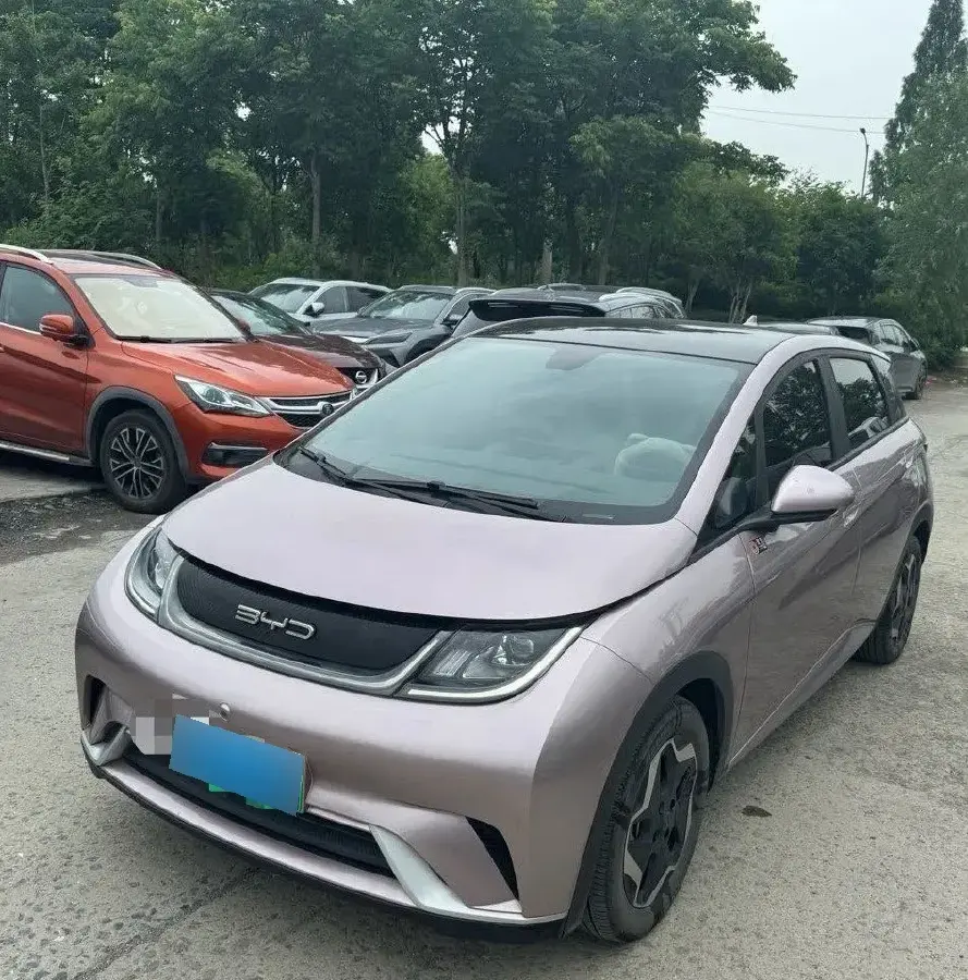 2021 BYD Dolphin BEV 44.9KWH