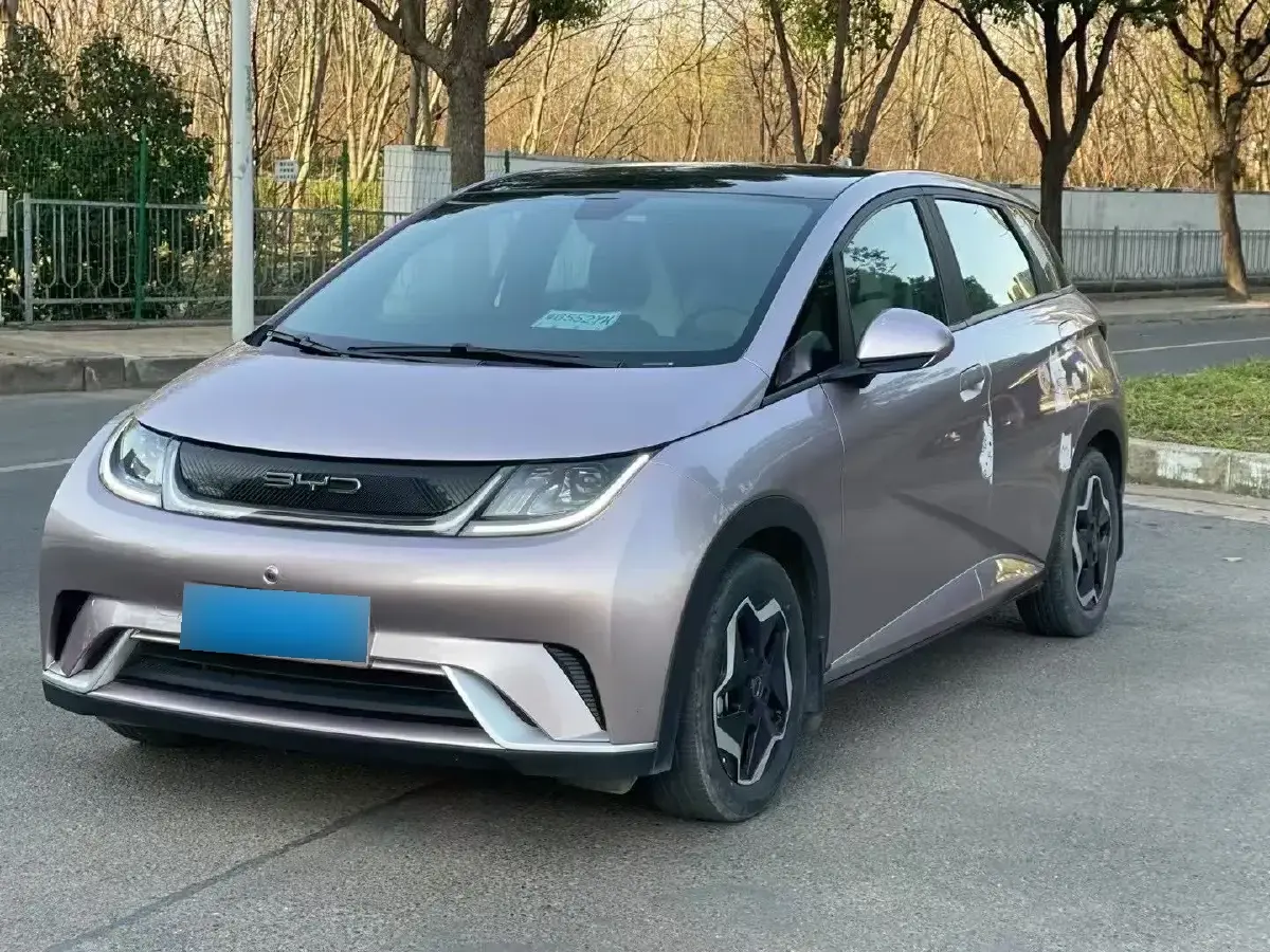 2021 BYD Dolphin BEV 44.9KWH