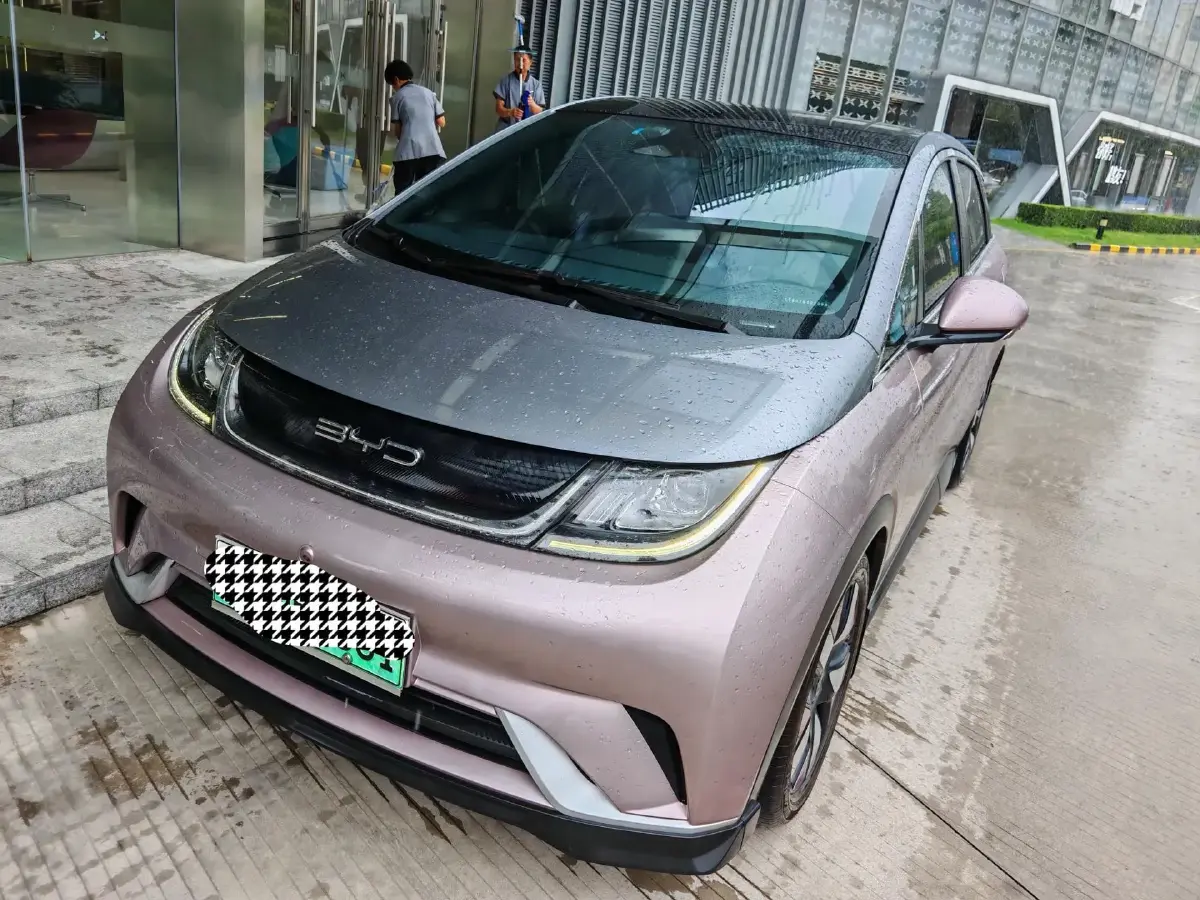 2021 BYD Dolphin BEV 44.9KWH