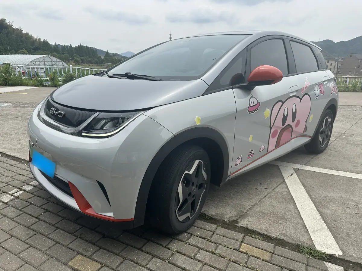 2021 BYD Dolphin BEV 44.9KWH