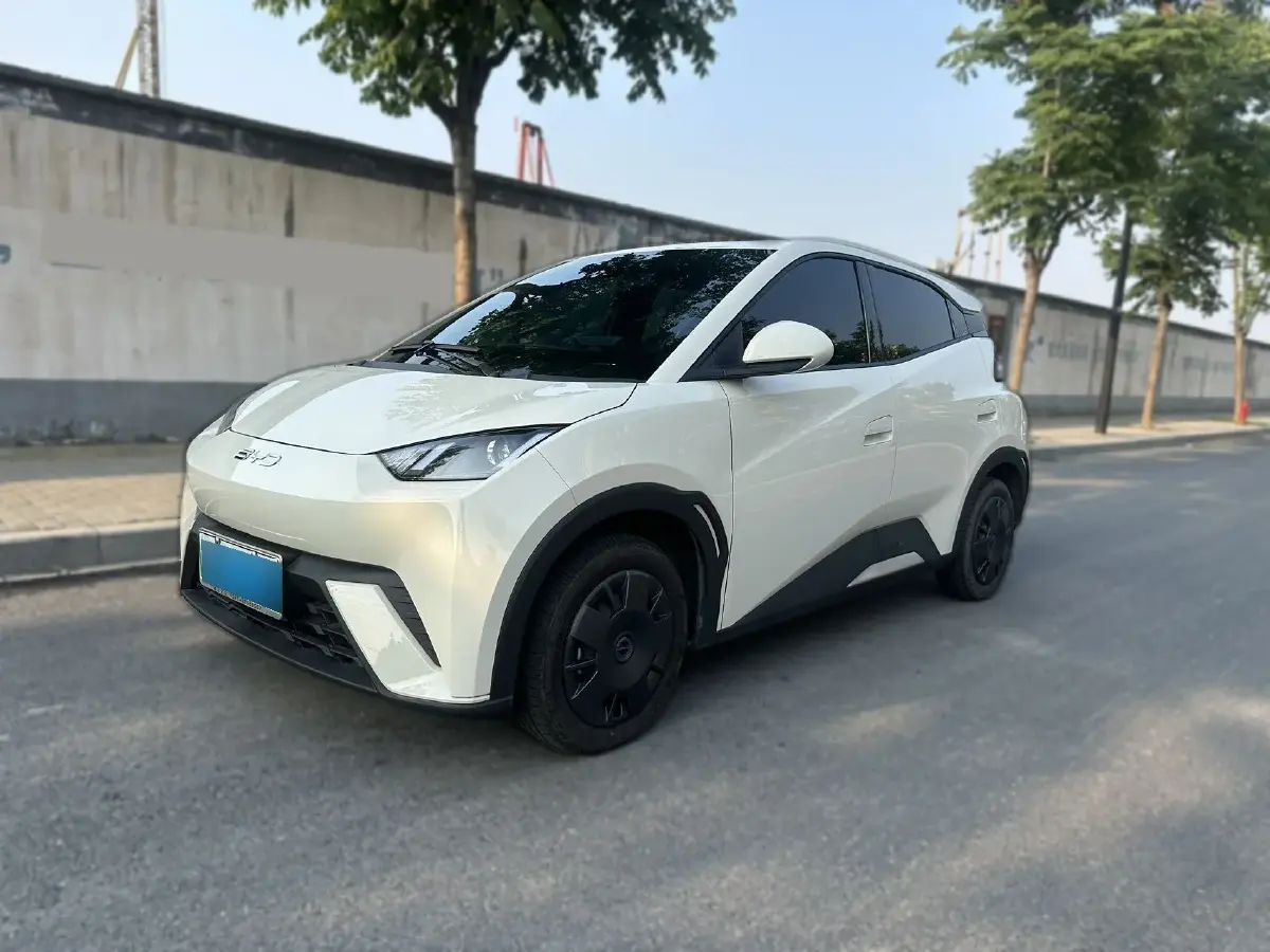 2024 BYD Seagull BEV 30.08KWH