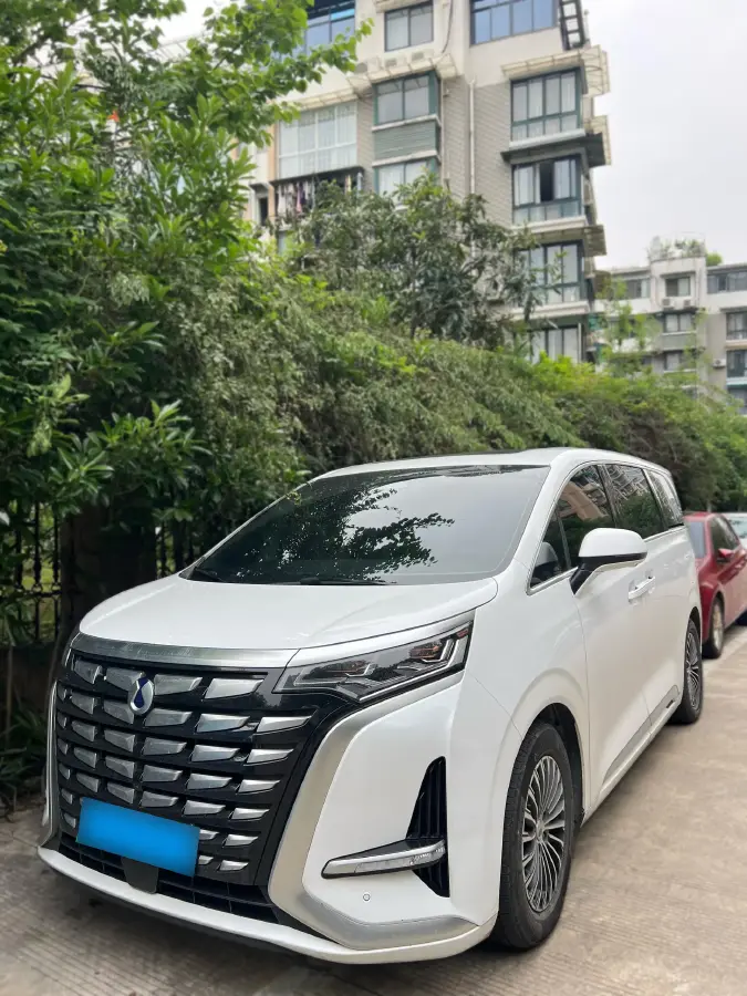 2022 Denza D9 1.5T 139HP L4 E-CVT PHEV 40.06KWH