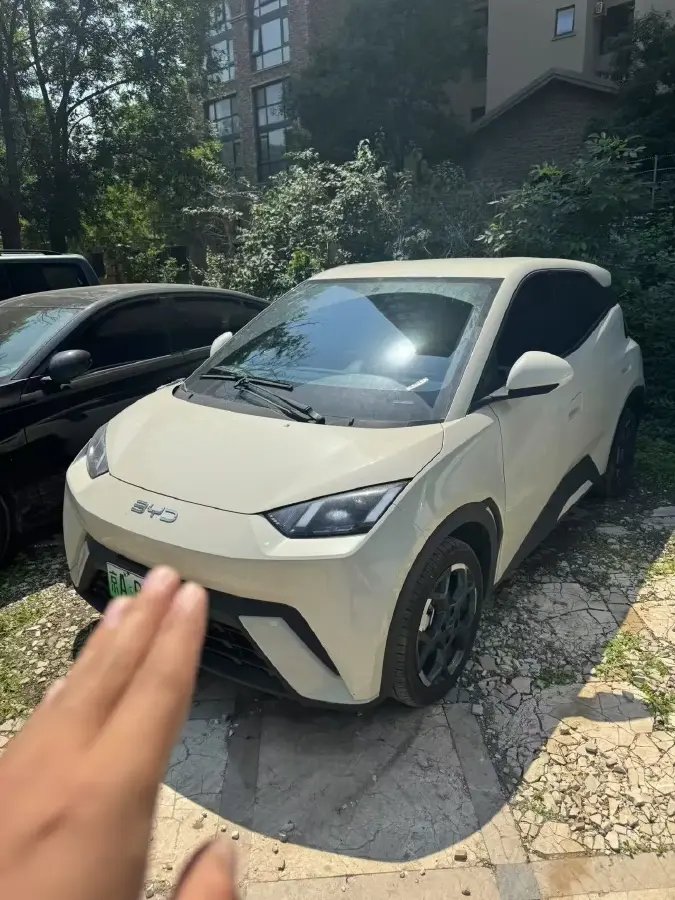 2023 BYD Seagull BEV 30.08KWH
