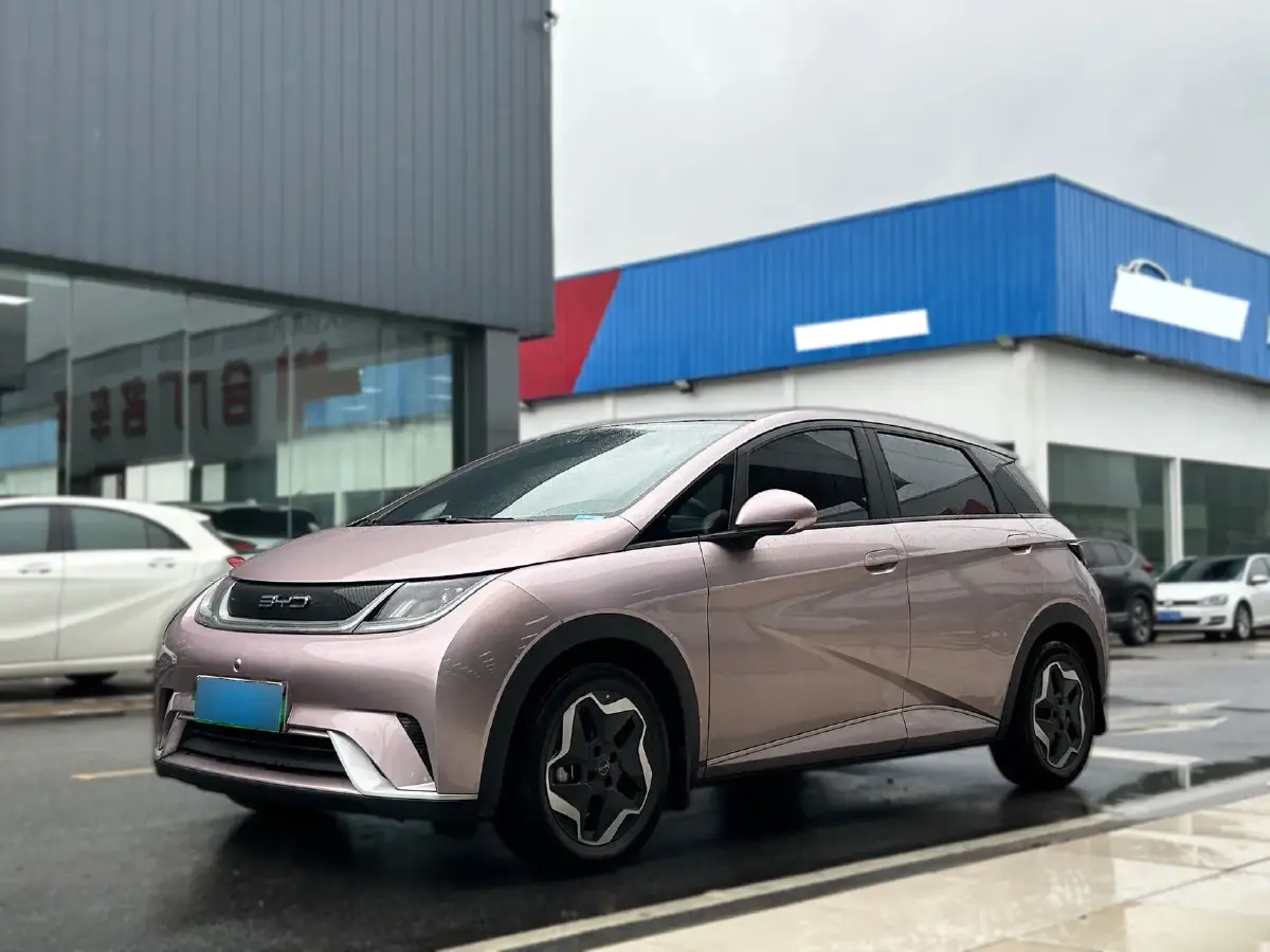 2021 BYD Dolphin BEV 44.9KWH