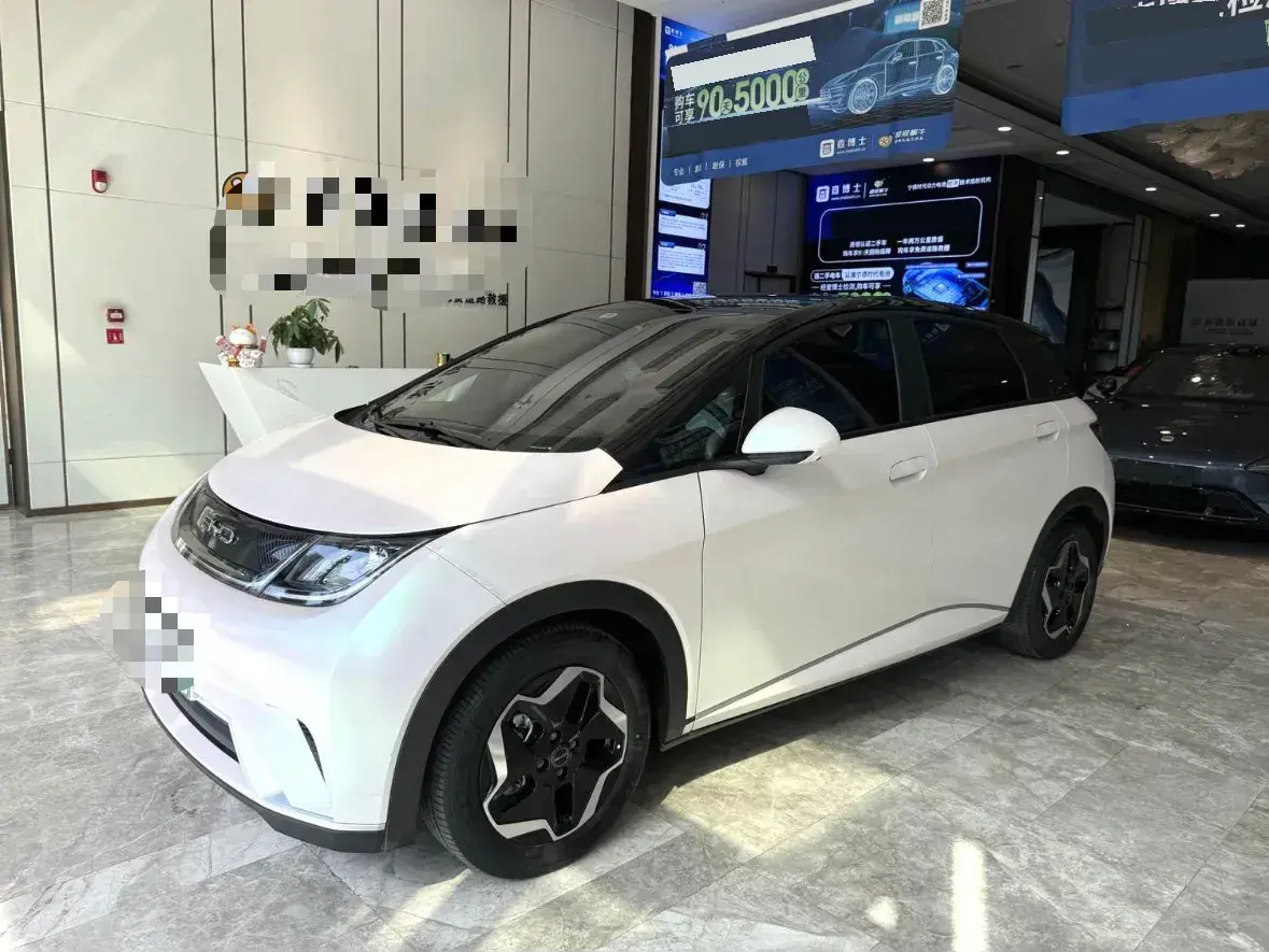 2021 BYD Dolphin BEV 44.9KWH