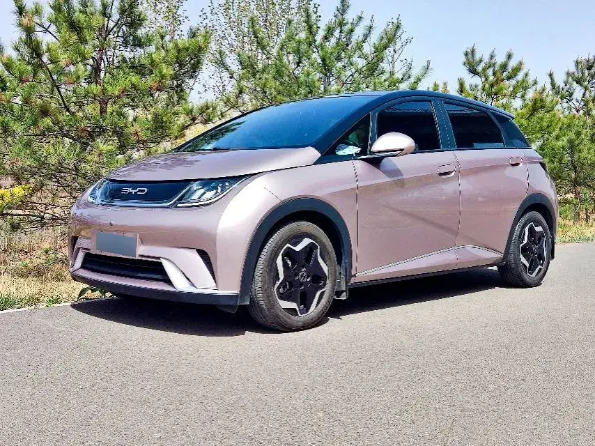 2021 BYD Dolphin BEV 44.9KWH