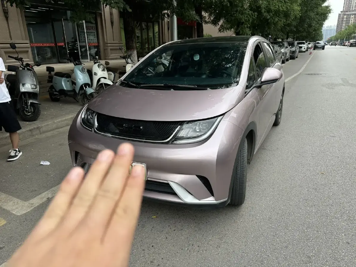 2021 BYD Dolphin BEV 44.9KWH