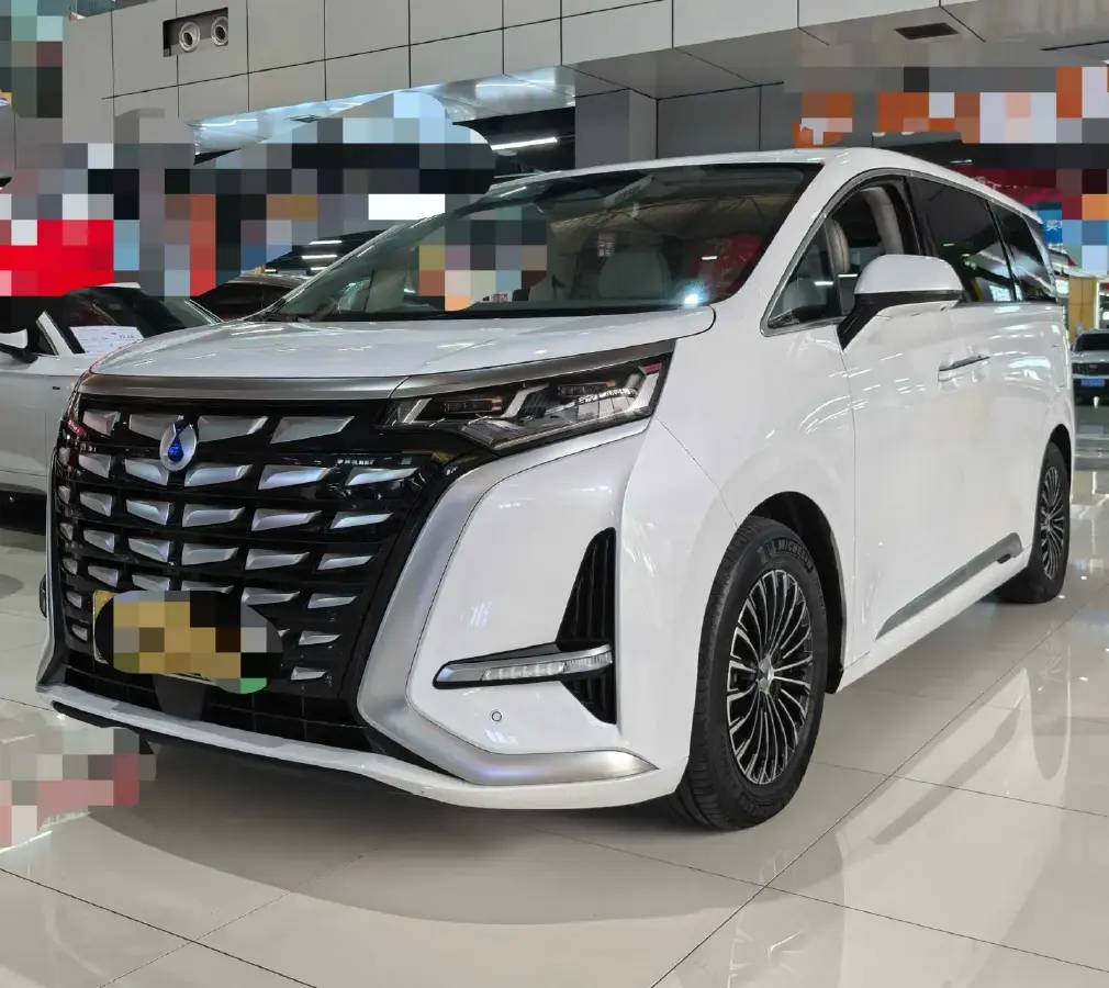 2023 Denza D9 1.5T 139HP L4 E-CVT PHEV 11.06KWH