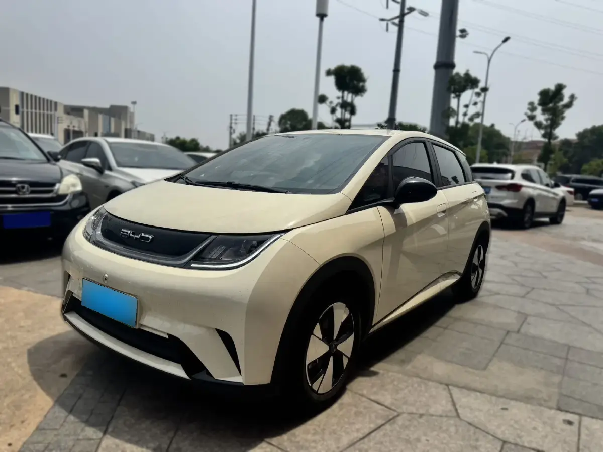 2023 BYD Dolphin BEV 44.928KWH