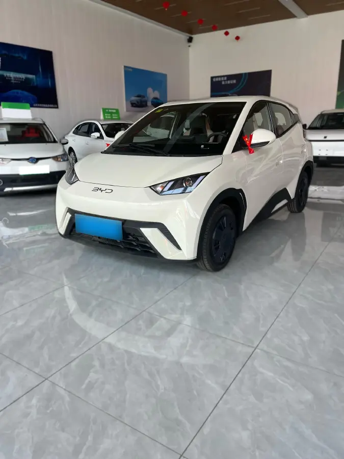 2025 BYD Seagull BEV 30.08KWH