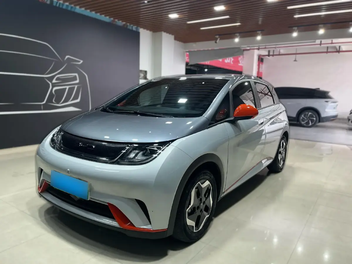 2021 BYD Dolphin BEV 44.9KWH