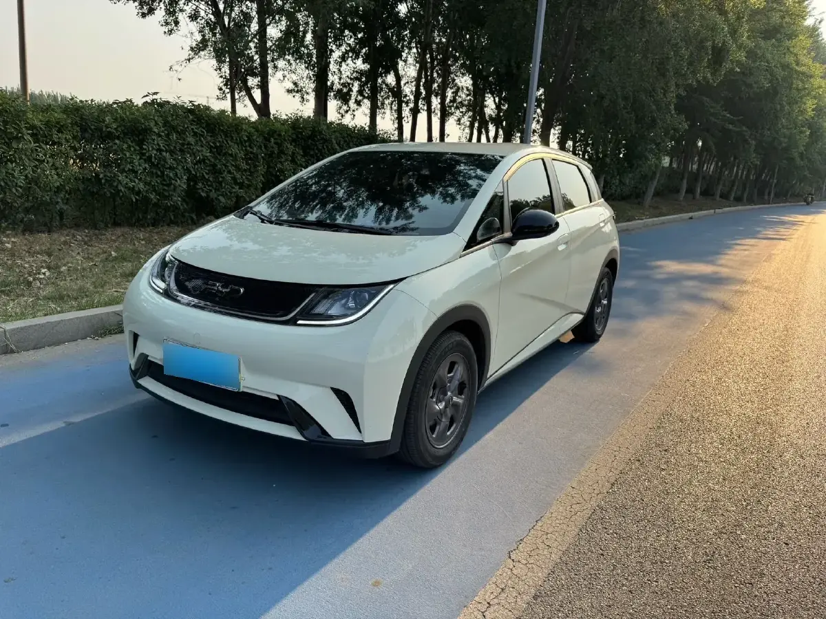 2024 BYD Dolphin BEV 32.256KWH