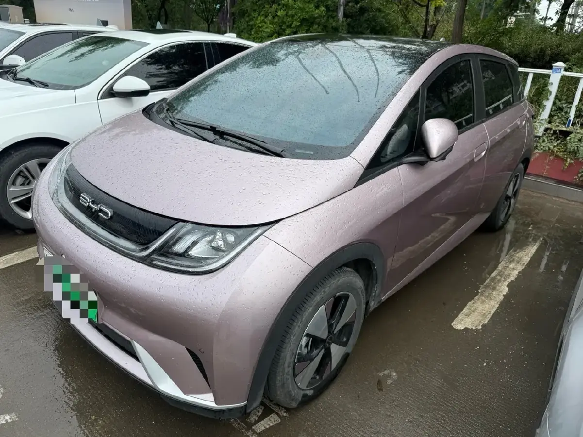 2023 BYD Dolphin BEV 44.928KWH