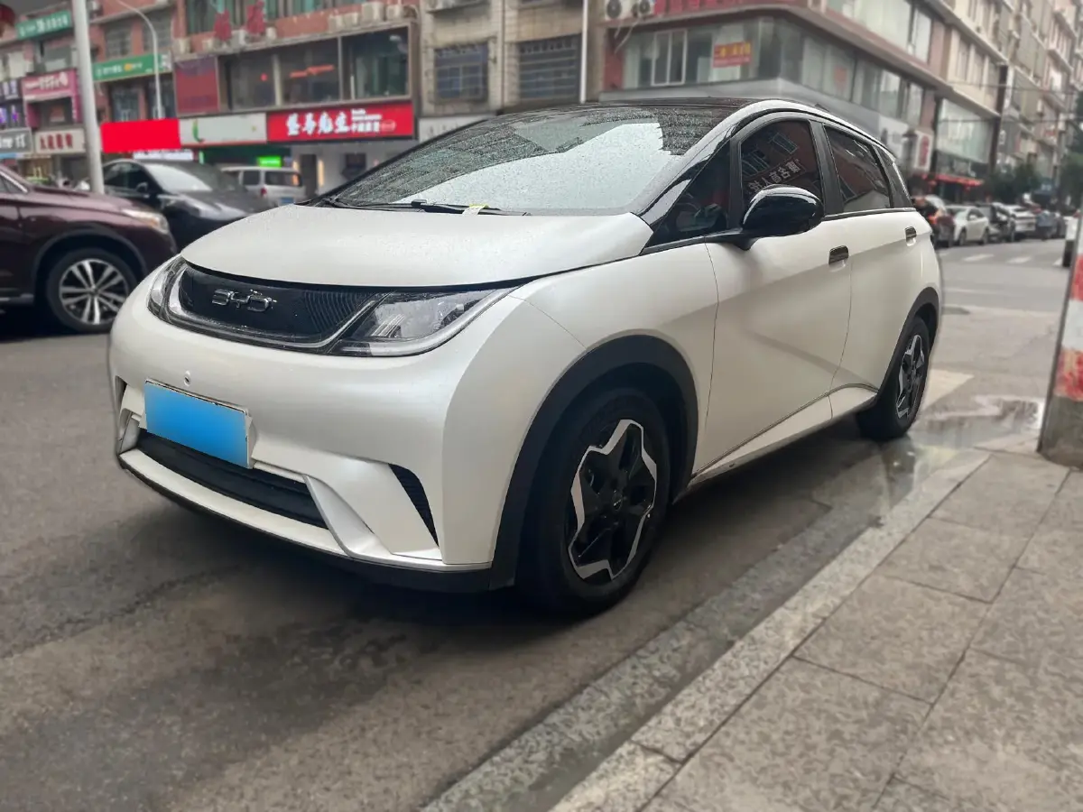 2021 BYD Dolphin BEV 44.9KWH