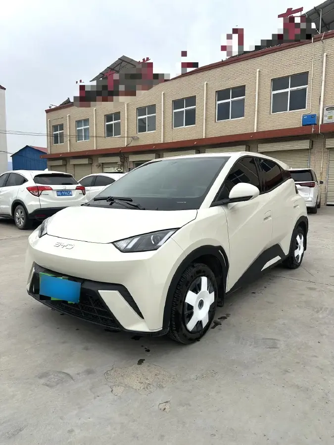 2025 BYD Seagull BEV 30.08KWH