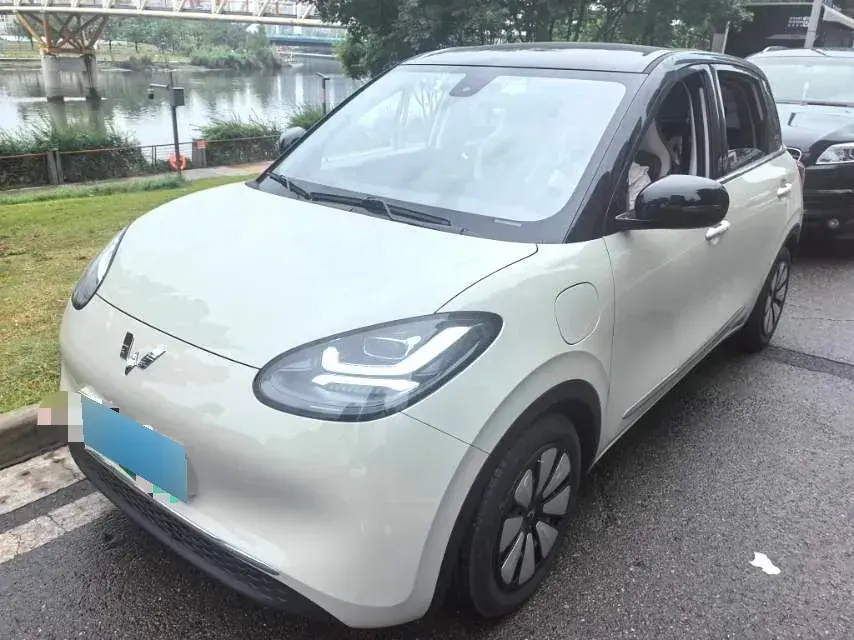 2023 WuLing BinGuo BEV 31.9KWH