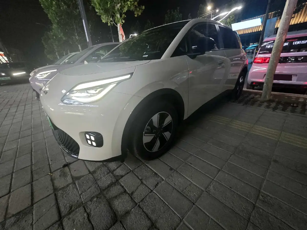 2025 Aion AION UT BEV 44.257/44.12/44.133KWH