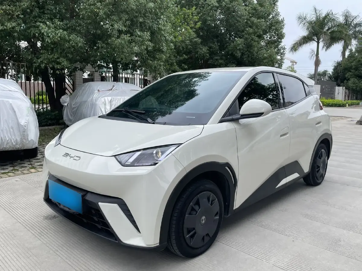 2024 BYD Seagull BEV 30.08KWH