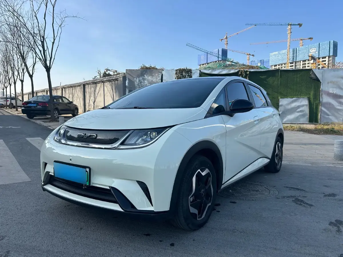 2021 BYD Dolphin BEV 44.9KWH