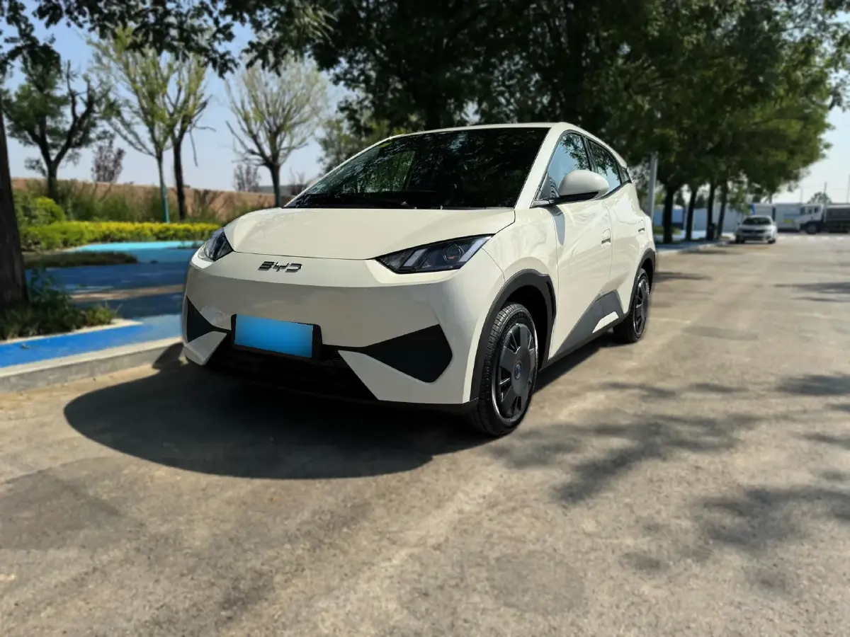 2025 BYD Seagull BEV 30.08KWH