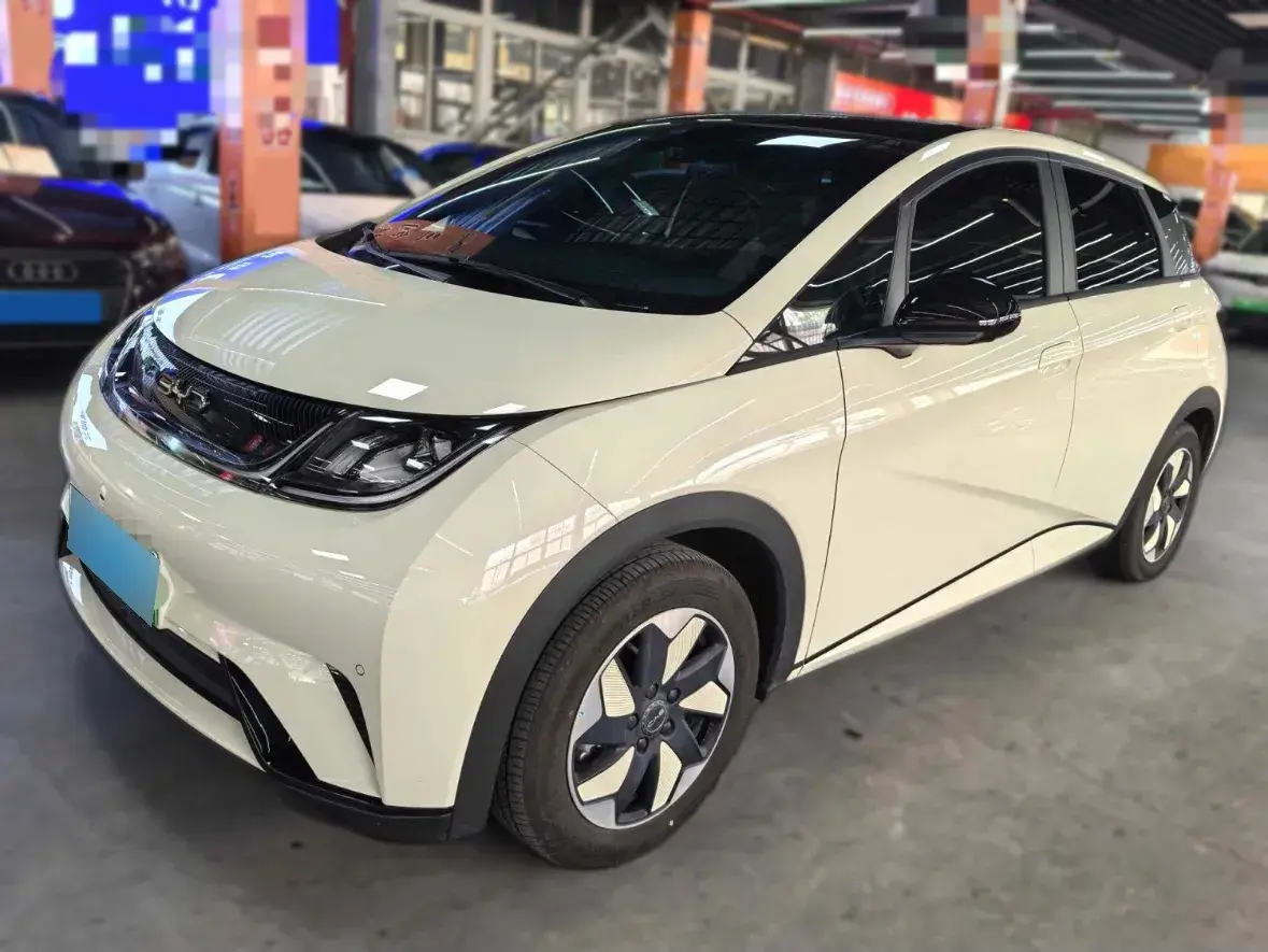 2024 BYD Dolphin BEV 44.928KWH
