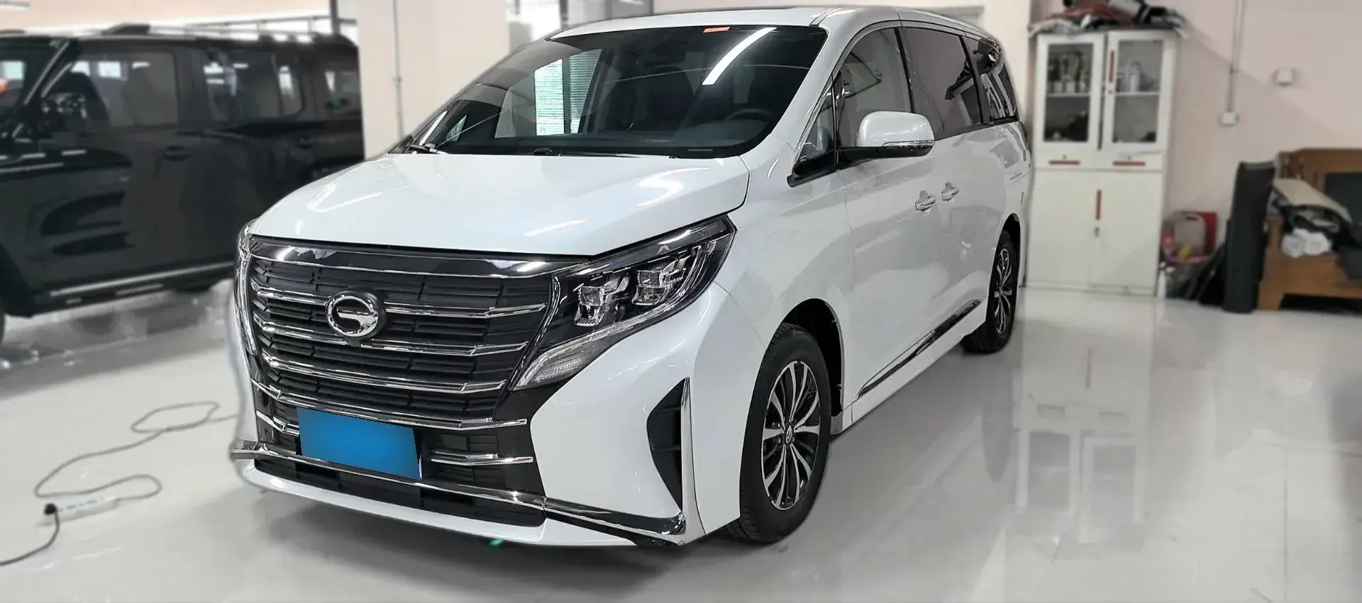 2023 GAC Trumpchi M8 2.0T 252HP L4 8AT