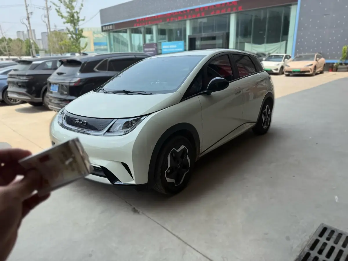 2024 BYD Dolphin BEV 44.928KWH